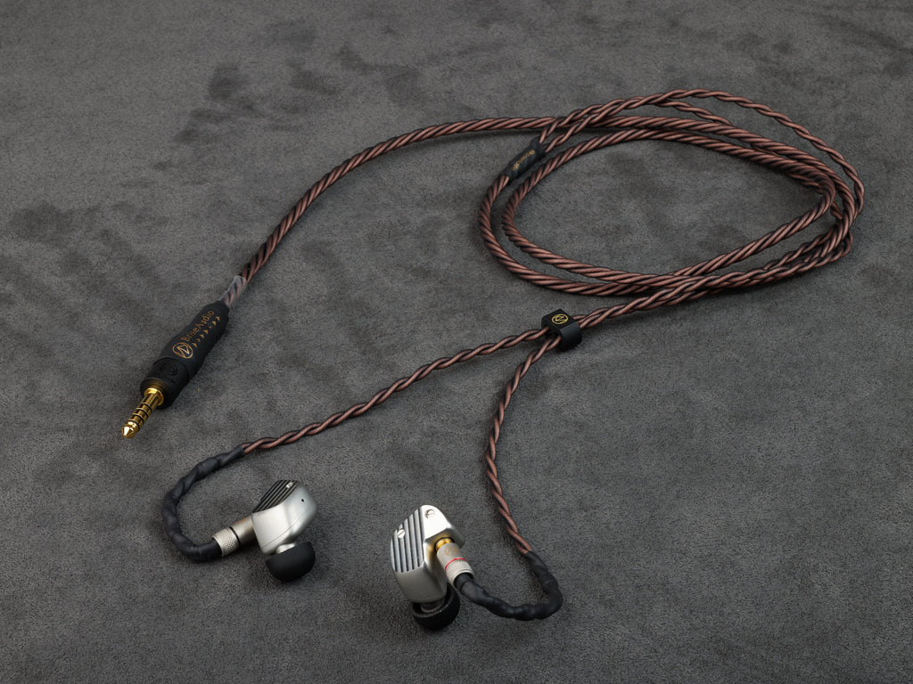 Brise Audio BSEP for A10000 – Exclusive Re-cable for final A10000 (Built to order)