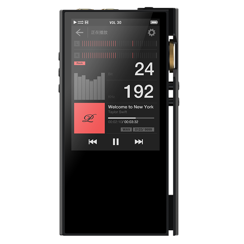 LUXURY&PRECISION ラグジュアリーアンドプレシジョン P6 PRO Luxury Precision P6 Pro Advanced Discrete R-2R Portable Audio