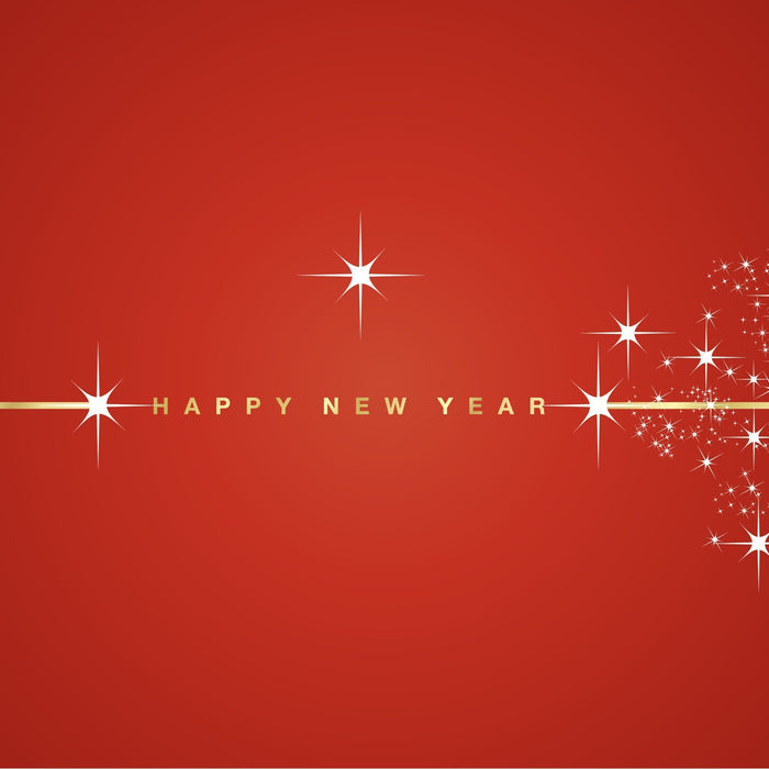 2025 Year-End Summary