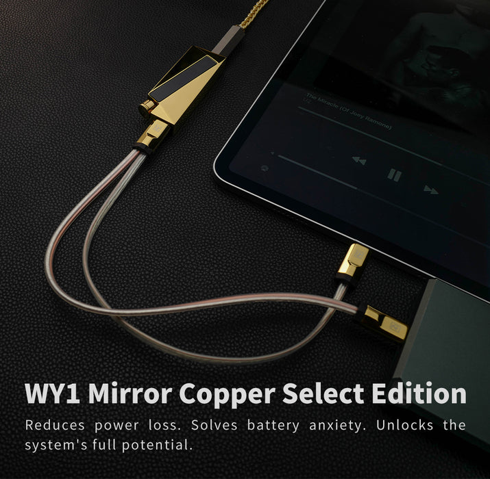 Luxury Precision WY1 (ship in July)