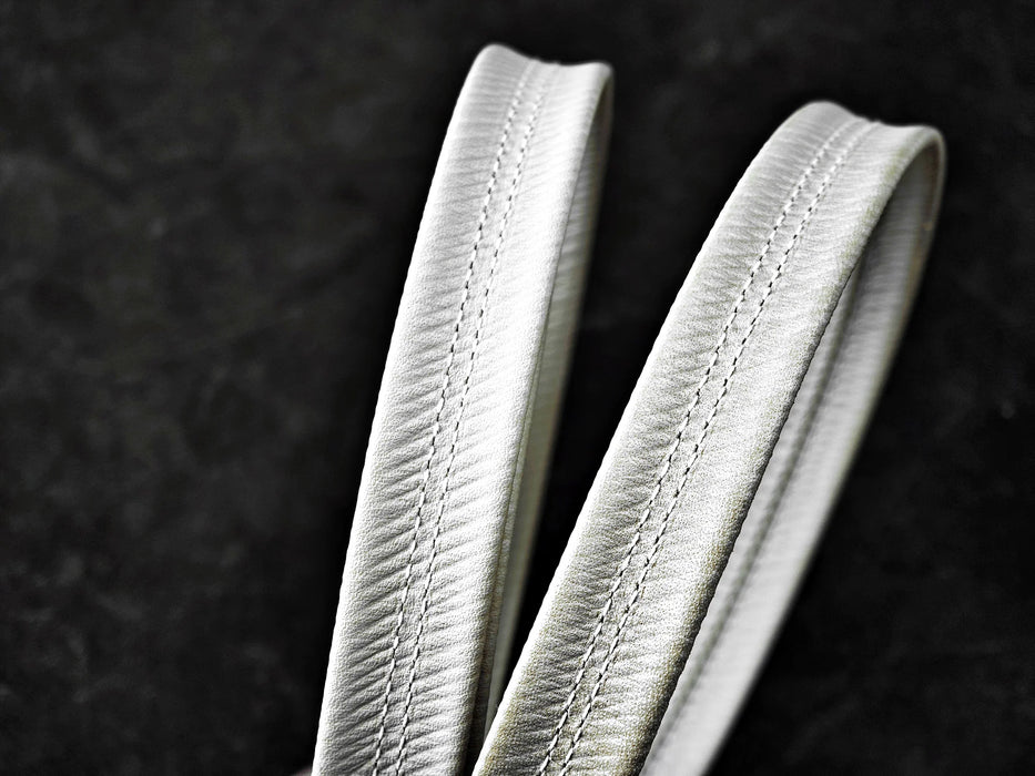 ELETECH "CANVAS" COMPANION CASE - MusicTeck 