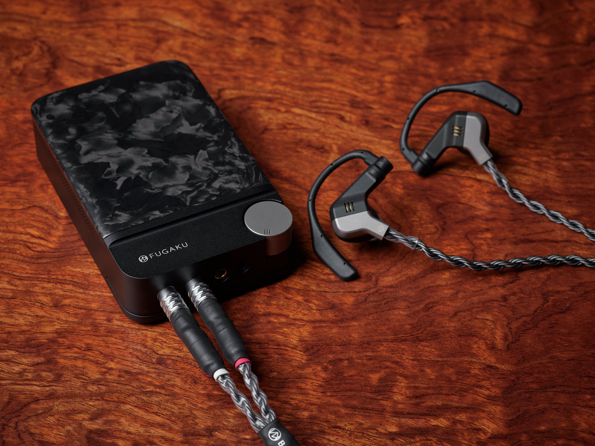 Brise Audio Fugaku (in stock) — MusicTeck