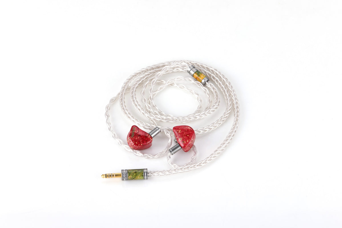 AME Old & Wise 8core cable (2Pin, 4.4mm) — MusicTeck