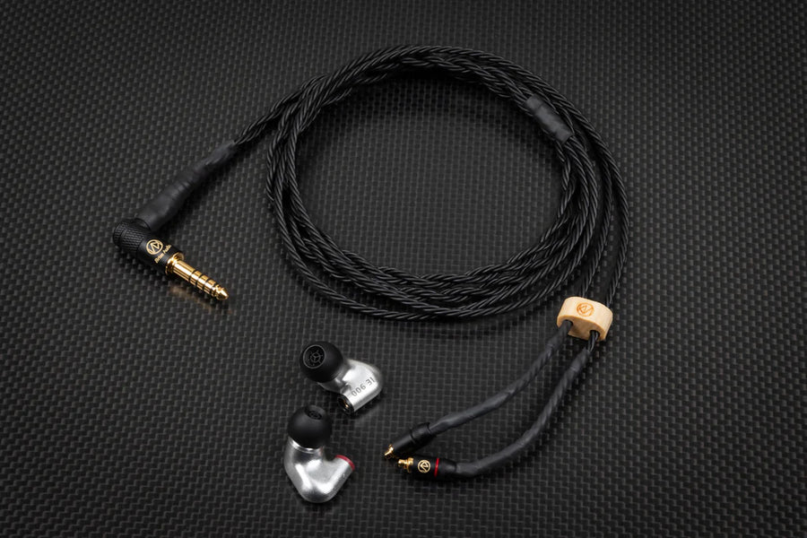 イヤホン SENNHEISER brise audio BSEP for IE900 Brise Audio BSEP for IE900 (Built to order) — MusicTeck