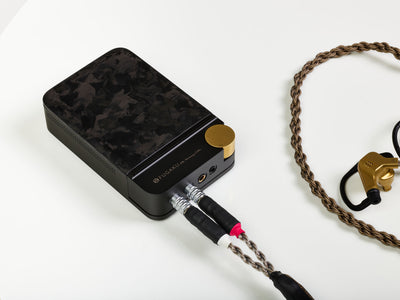 Brise Audio FUGAKU 10th Anniversary Edition - MusicTeck