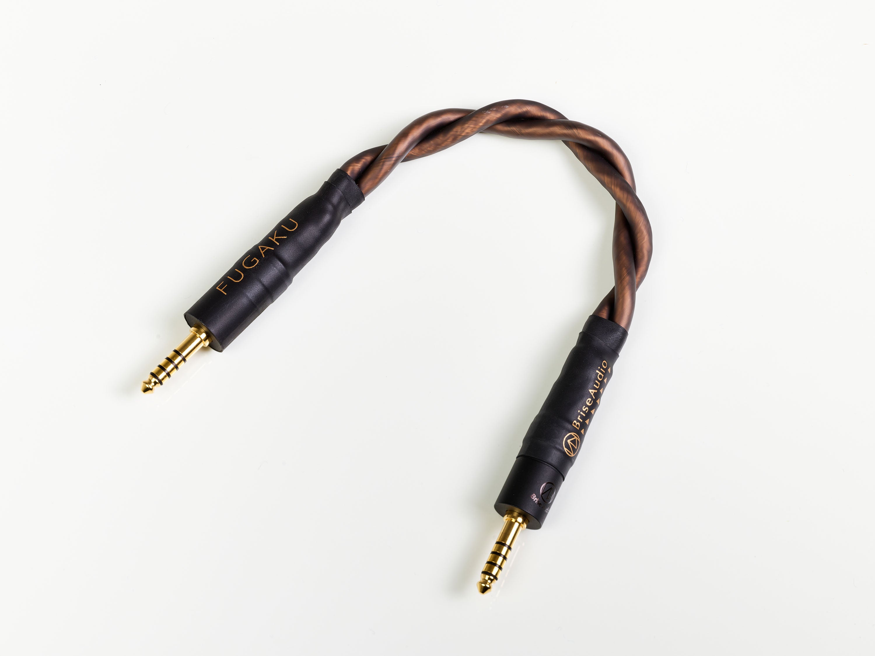 Brise Audio FUGAKU 10th Anniversary Edition - MusicTeck
