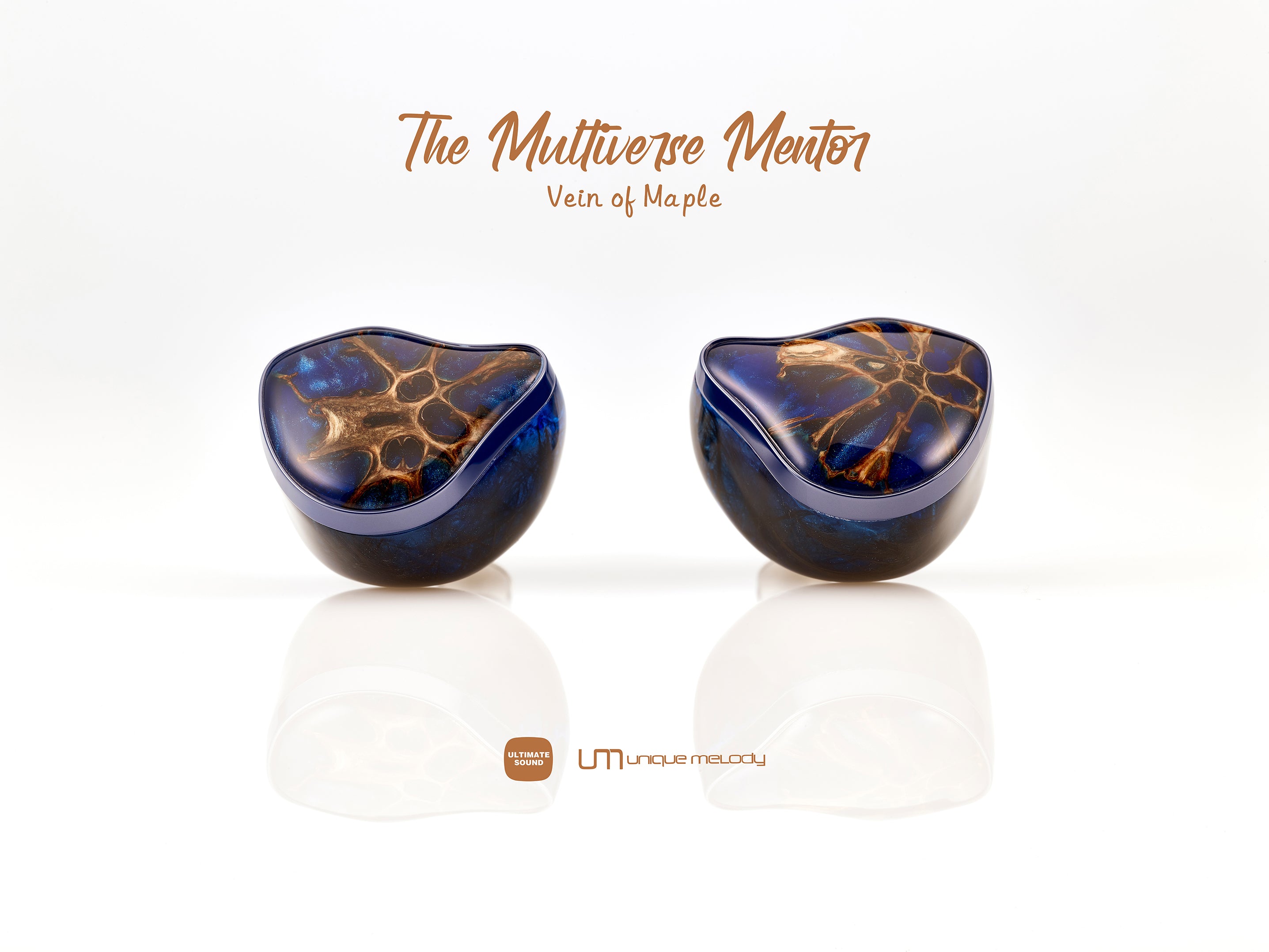 UM Multiverse Mentor – MusicTeck