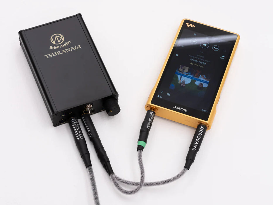 Brise Audio SHIROGANE MINI Ultimate — MusicTeck Brise Audio SHIROGANE MINI Ultimate — MusicTeck