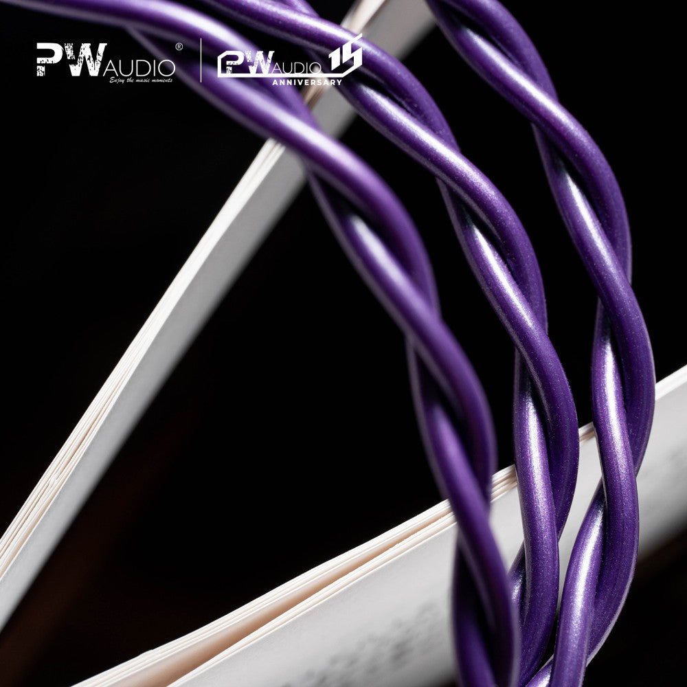 PWAudio Anniversary Series No.15 – MusicTeck