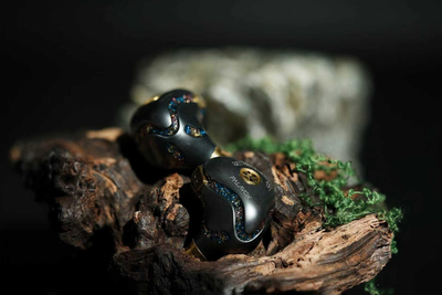 Palavox Akasha IEM - MusicTeck 