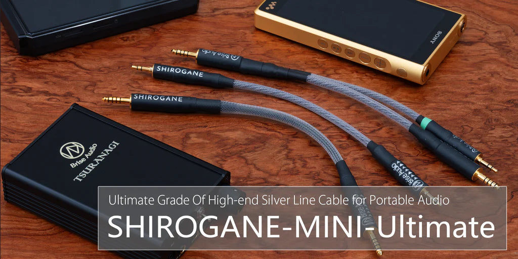 Brise Audio SHIROGANE MINI Ultimate — MusicTeck