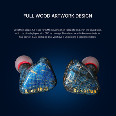 One Dot Audio Leviathan T800 - MusicTeck