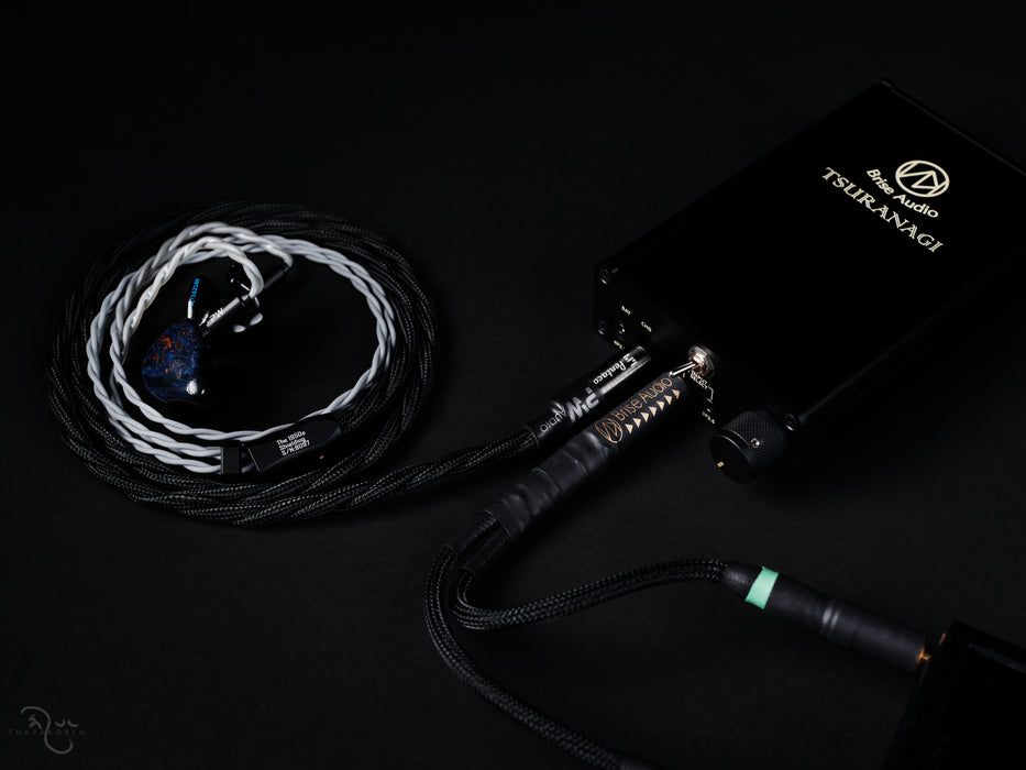 Brise Audio TSURANAGI Portable amplifier