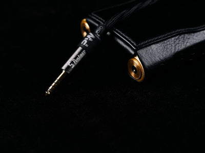 PWAudio Century Series - 1950s 4wired with Shielding