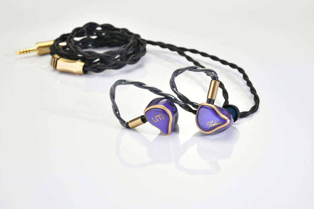 UM MEST Fortune - MusicTeck 