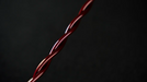 Astral Acoustics Ruby OFC - 9th Anniversary Cable - MusicTeck