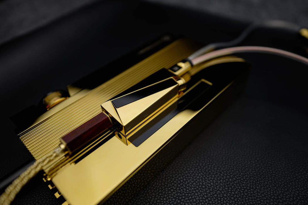 Luxury Precision W4ACG - Portable USB DAC/AMP Headphone AMP (limited to 499 units)