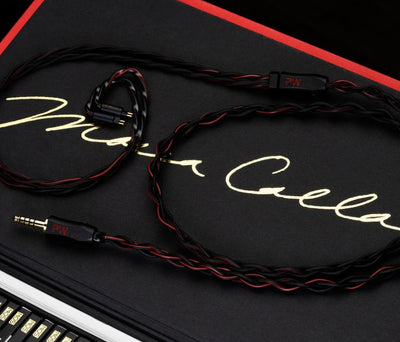 PWAudio Sagittarius - MusicTeck