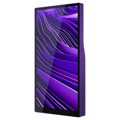 HiBy R6 Pro II (Gen 2) Lossless HD Medium-end Music Player Portable DAP - MusicTeck