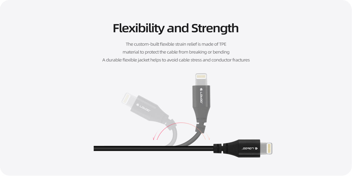 Lotoo Type C OTG cable V2 — MusicTeck