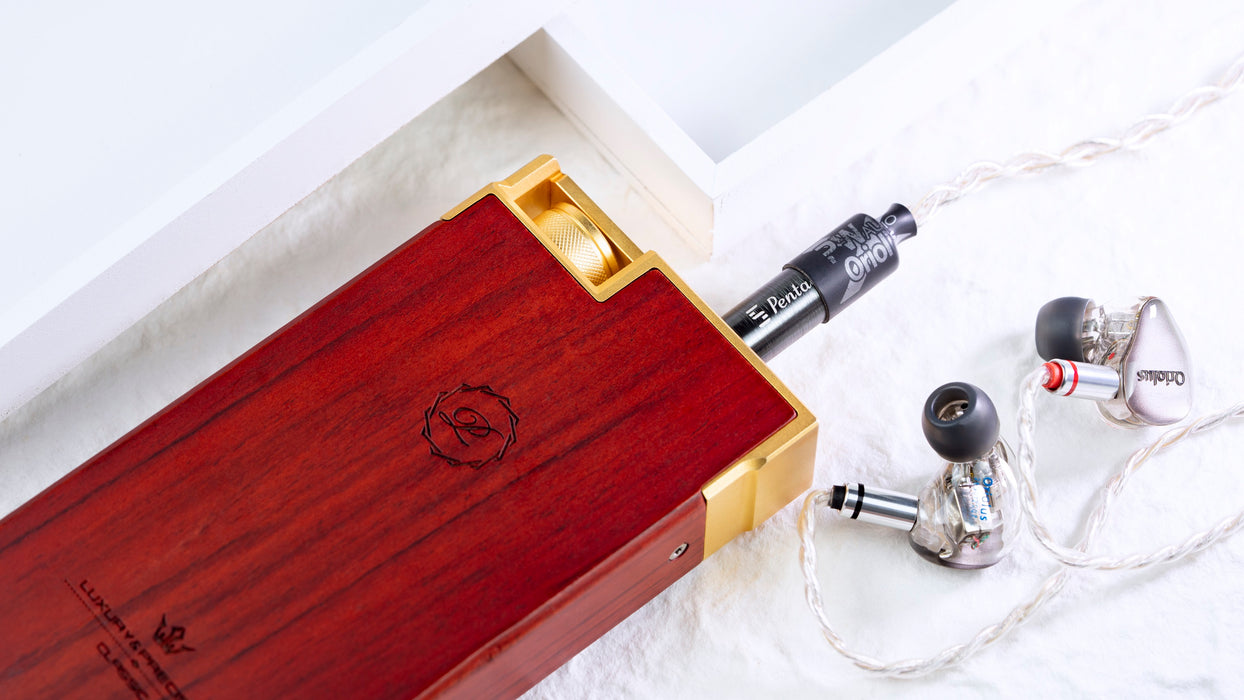 Luxury Precision LP6 32bit 384Khz HiFi Lossless DSD Music Player with Free Leather Case