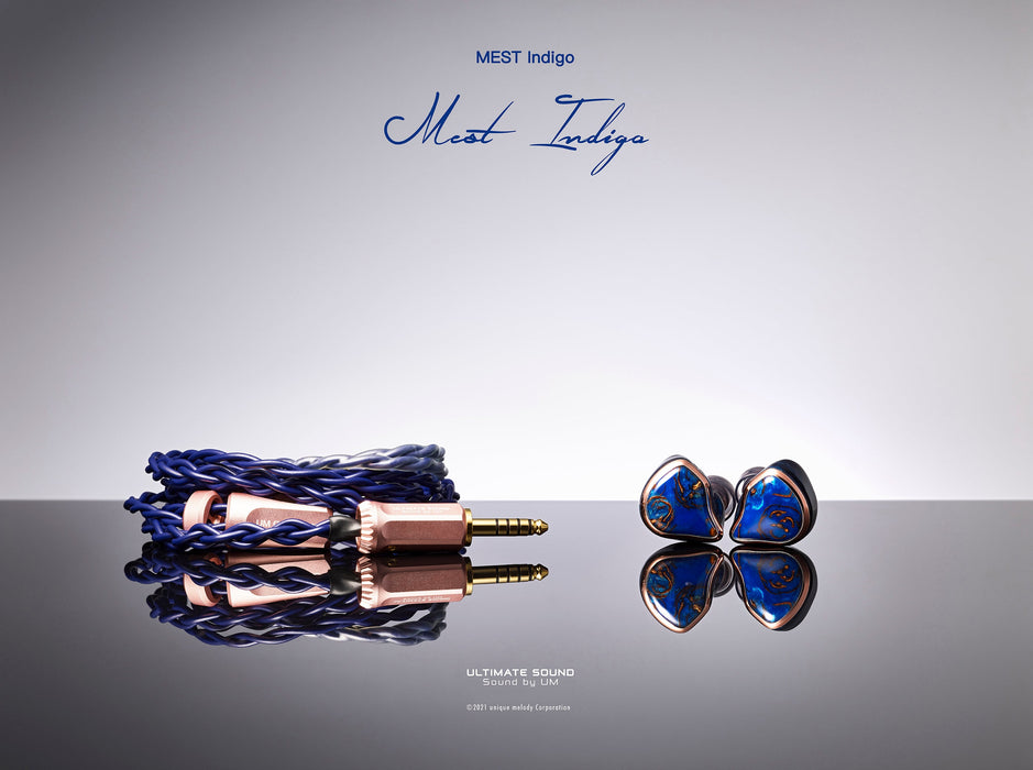 UM MEST Indigo - MusicTeck